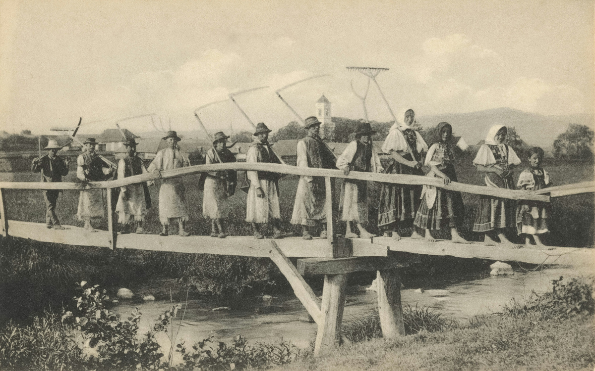 Фото из открытого источника