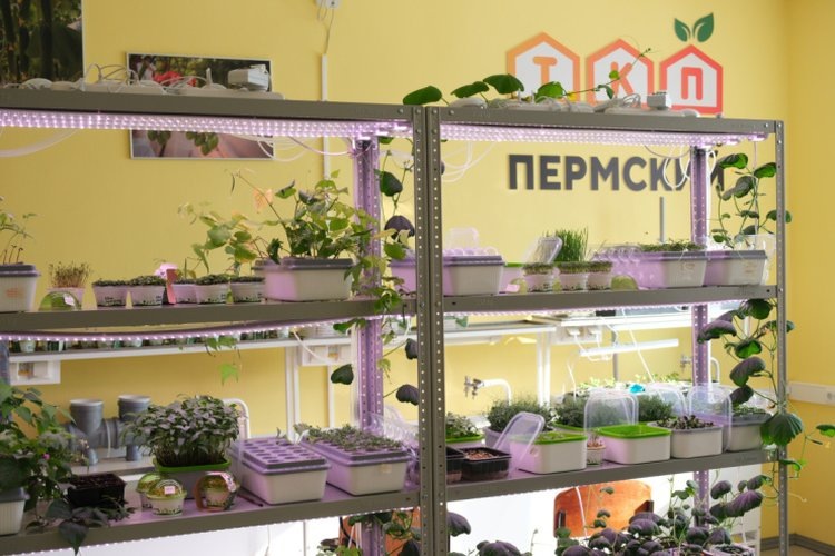    Фото: Правительство Пермского края