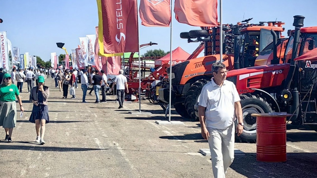 Фото: Альберт Ильин / Советская Чувашия