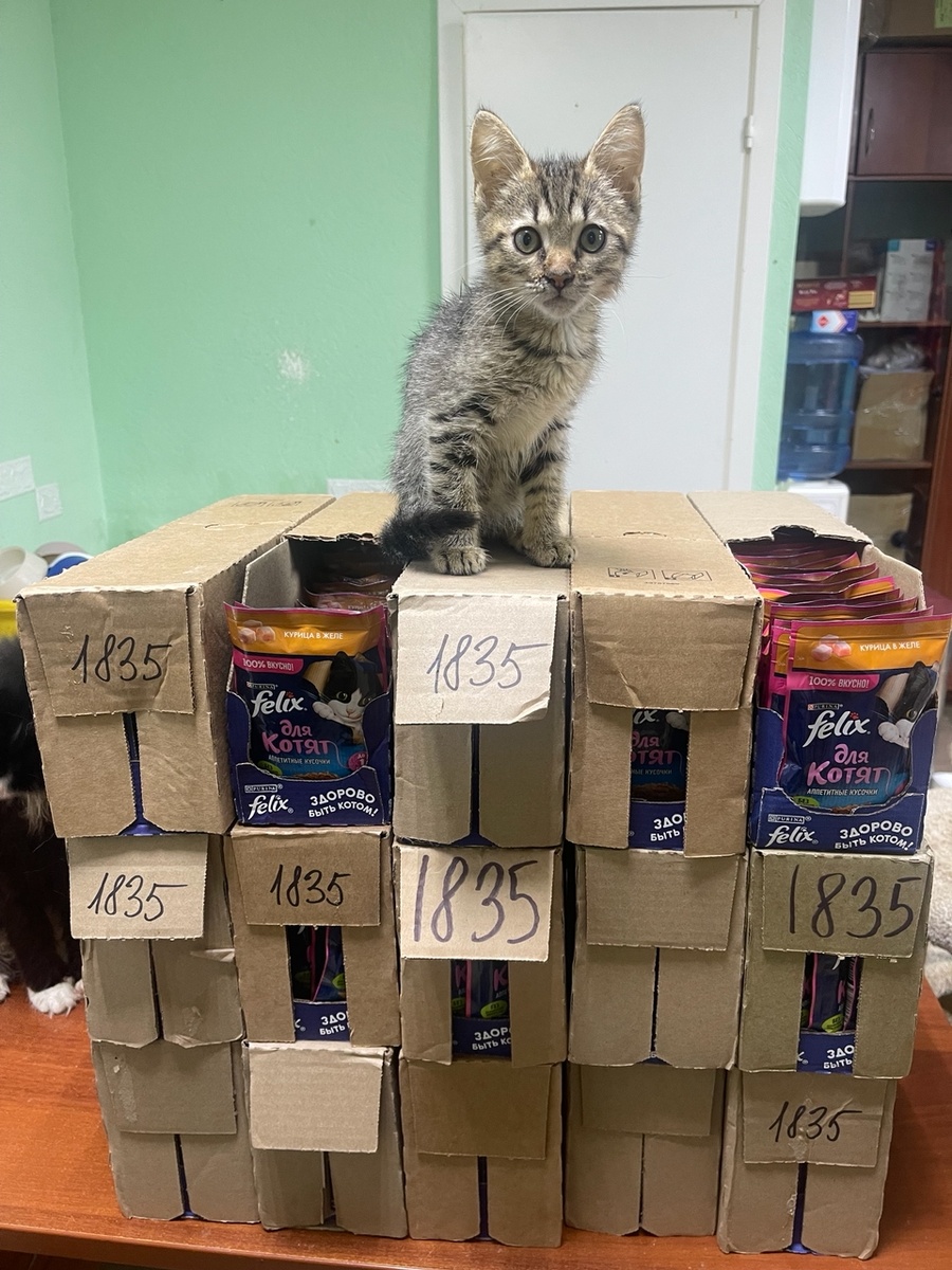 Это все мне????