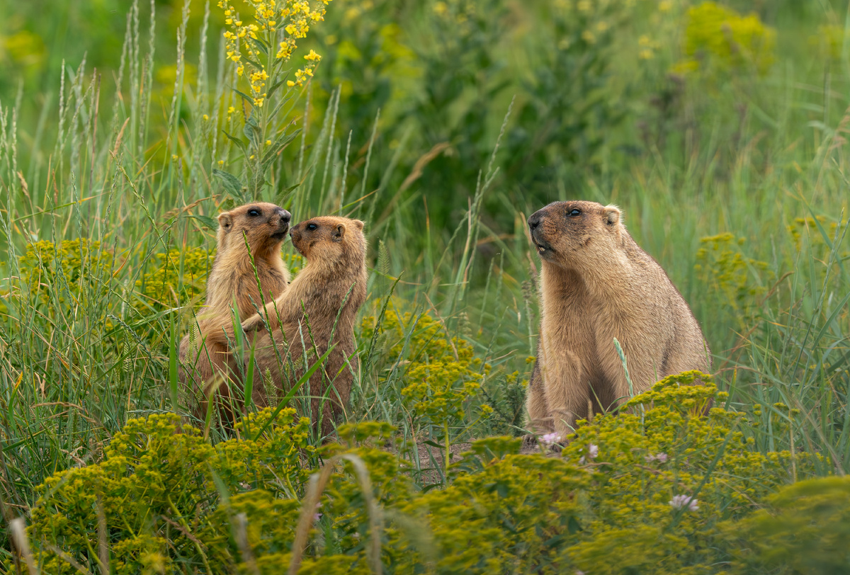 Фото: Татьяна Климина