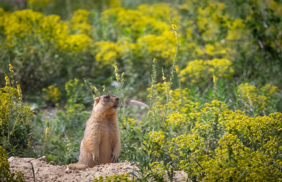 Фото: Михаил Веревченко