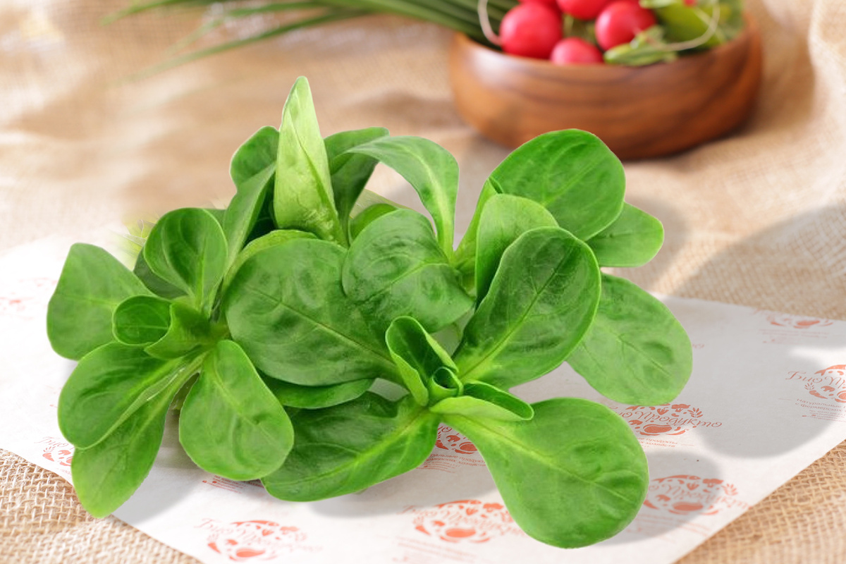 Рапунцель (корн)