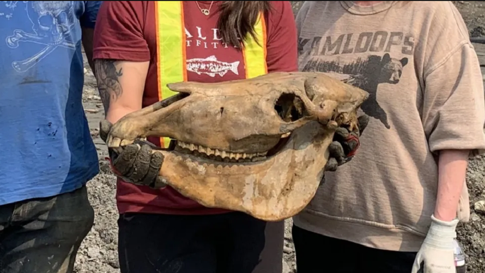     Фото: Government of Yukon / Susan Hewitson