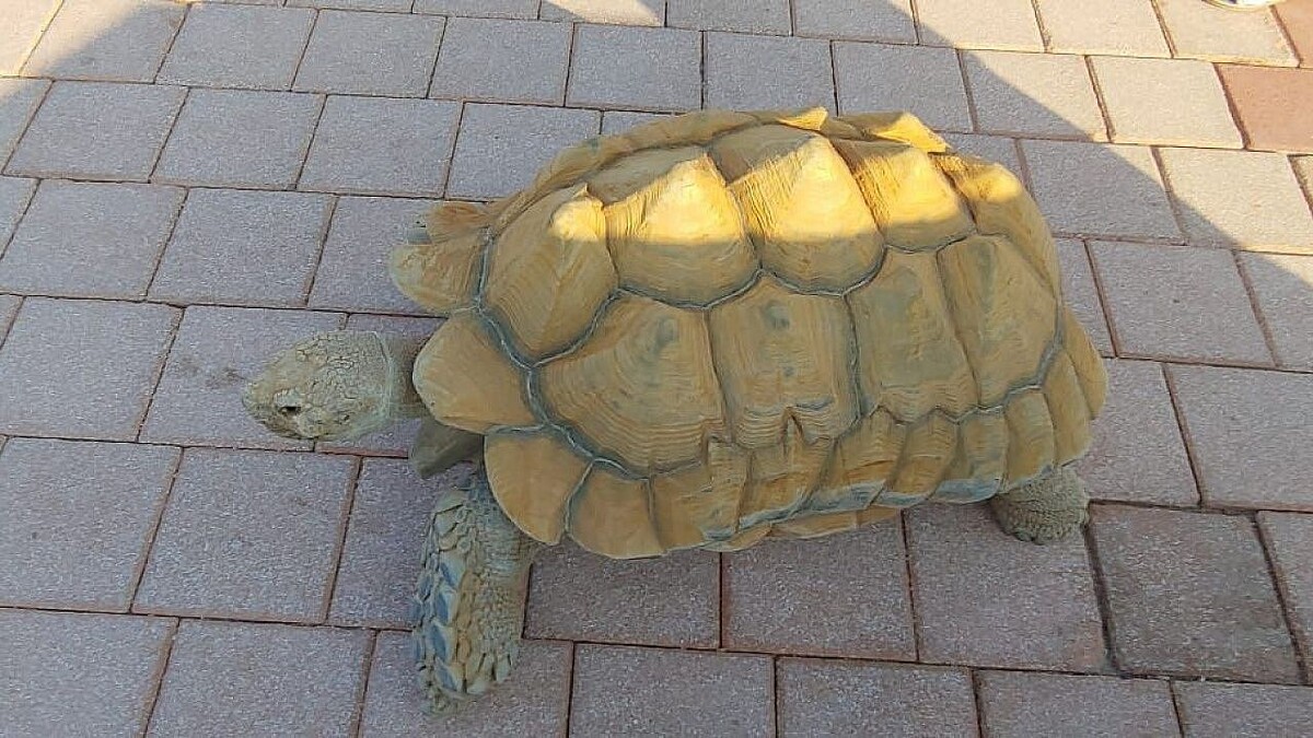    фото: Телеканал Краснодар