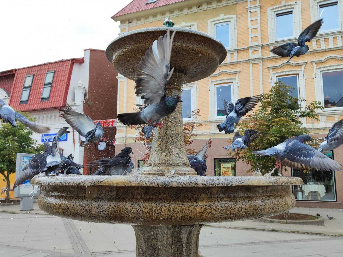 Фото автора.