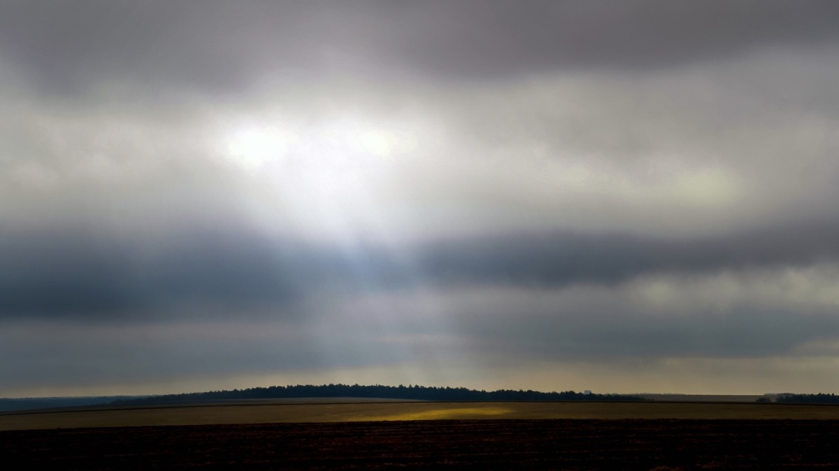 Светлана Мулыкина📷
