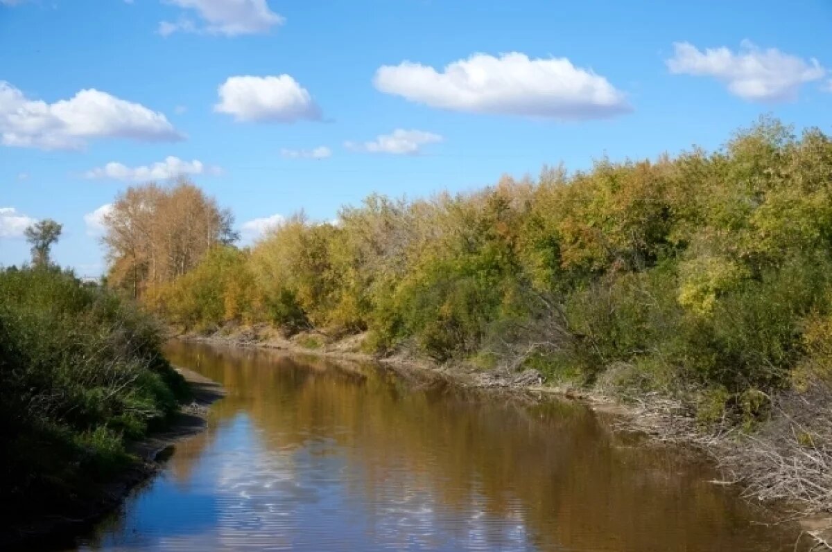    Минприроды проверит позеленевшую реку Гнилушу в Красном Сулине