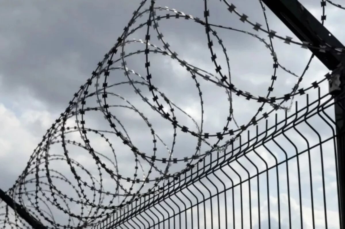    «Купившая» за взятку инвалидность тольяттинка отправлена в колонию