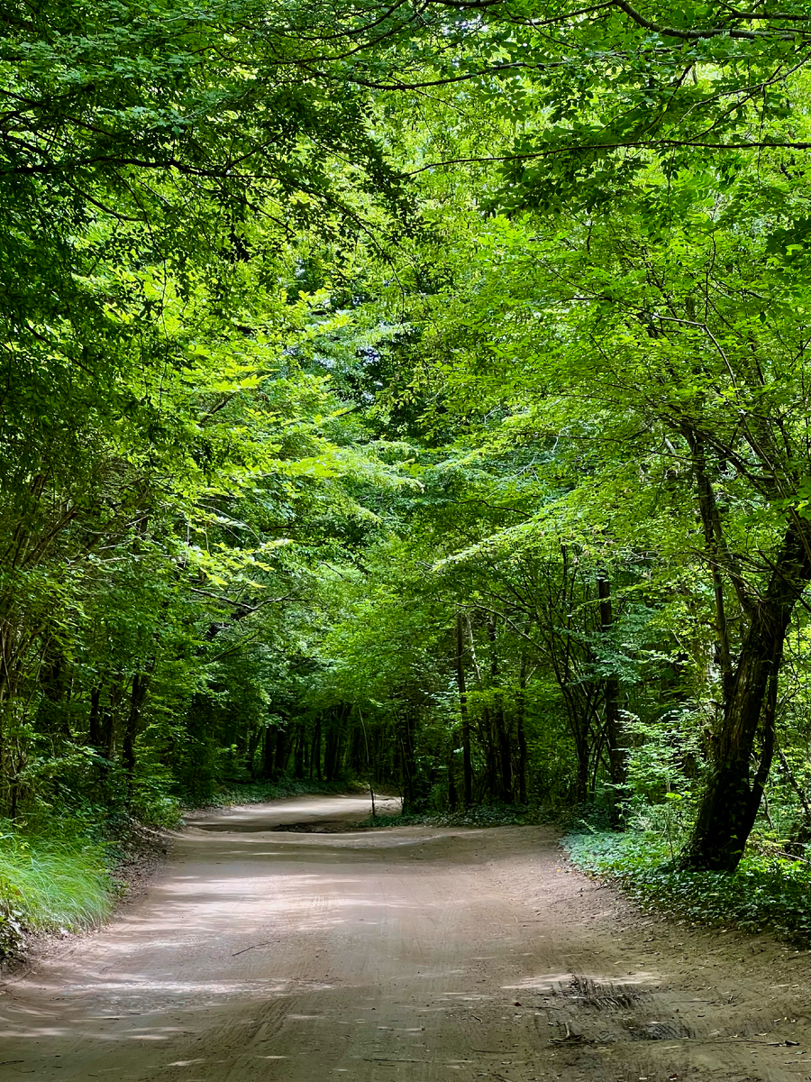 Дорога к кемпингу