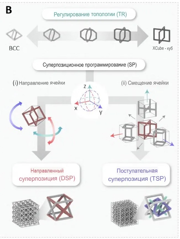 Два метода геометрического программирования (форма и расположение) в решётке CREATE Lab. 