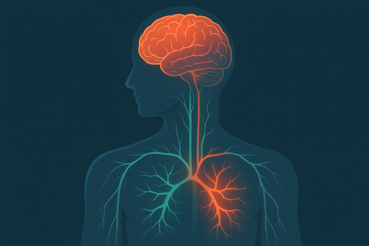 Нервная система под стрессом