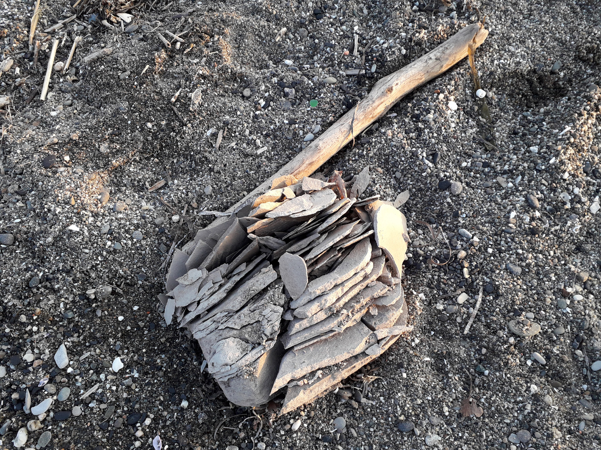 Источник: автор Лариса Красильникова