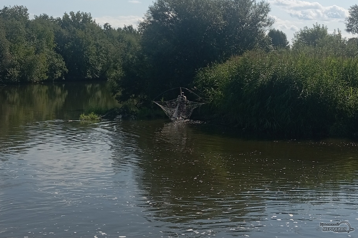    Фото: Виолетта Биенко © ИА «Уральский меридиан»