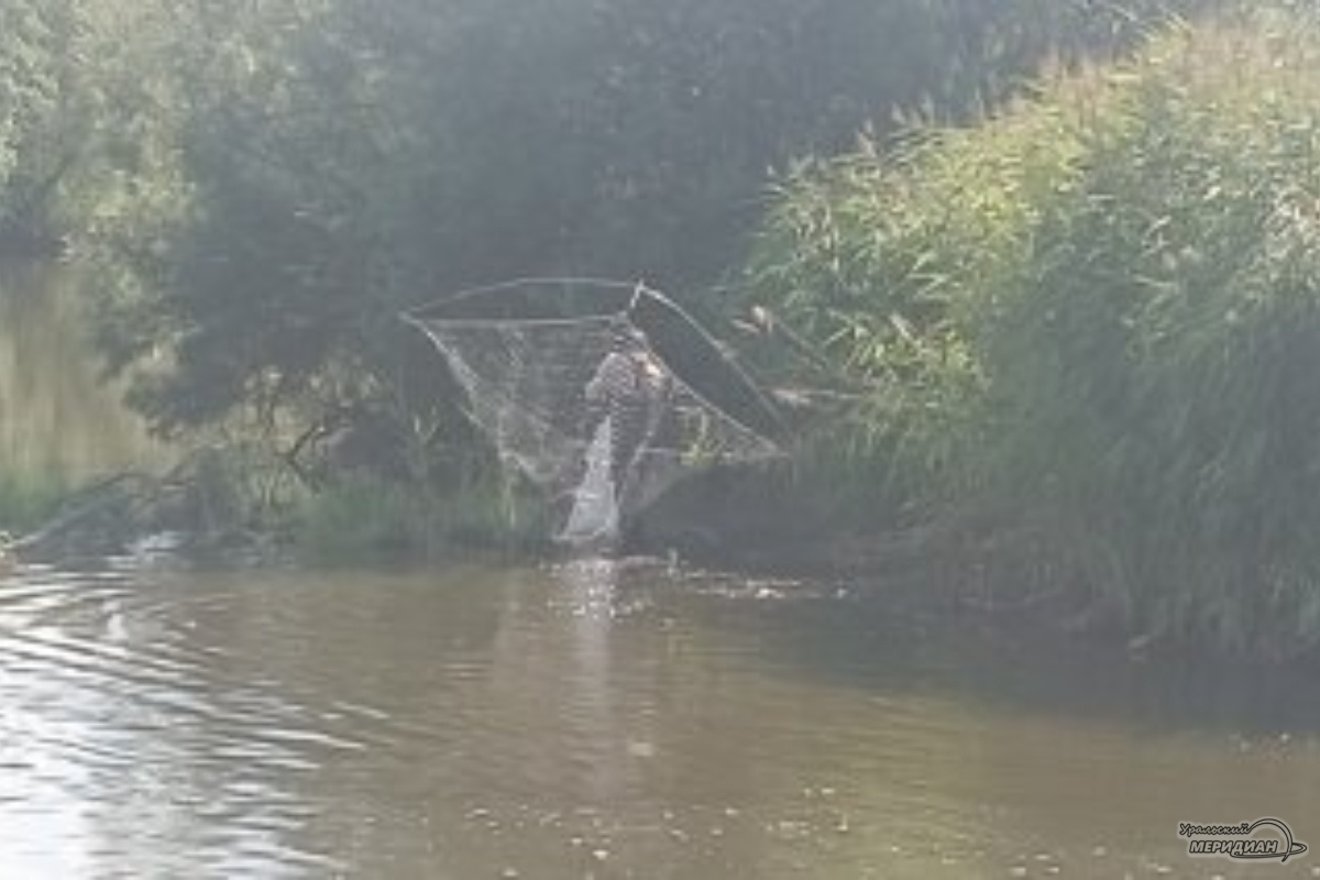    Фото: Виолетта Биенко © ИА «Уральский меридиан»