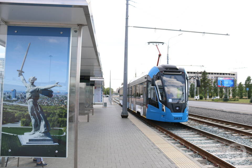    Фото: Матвей Горбунов / "Городские вести"