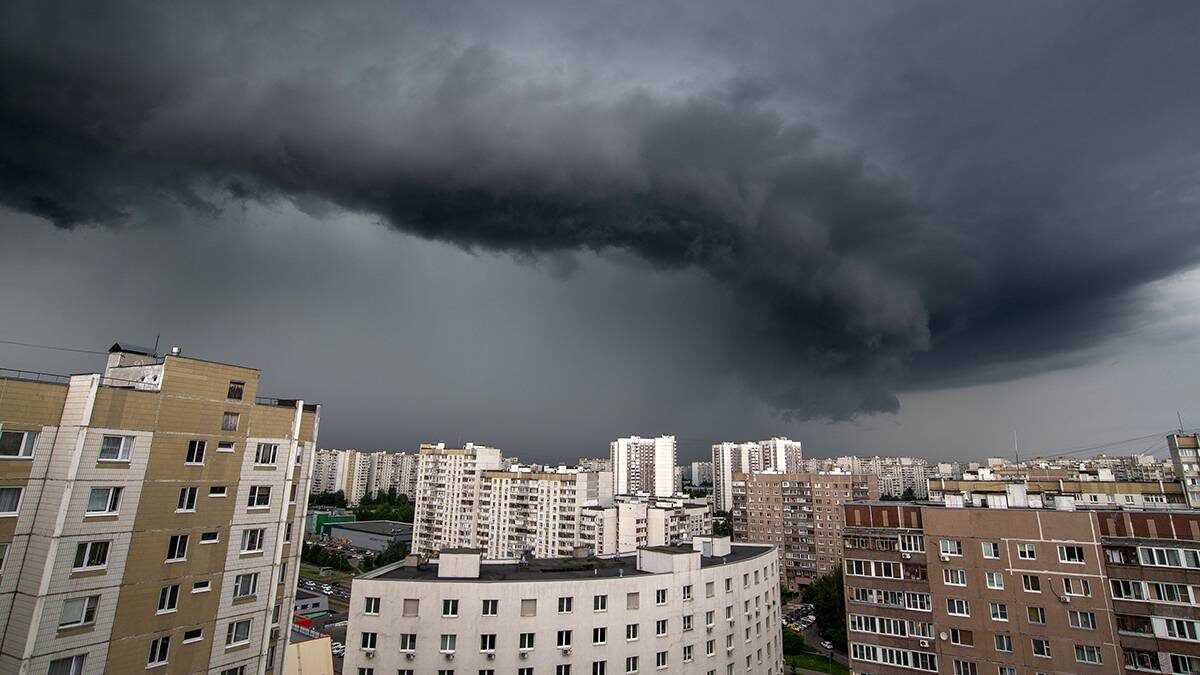    Фото: Shutterstock