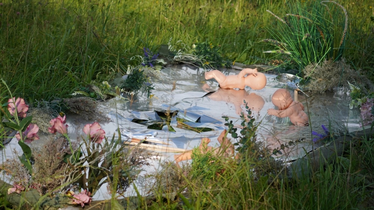 Светлана Мулыкина📷
