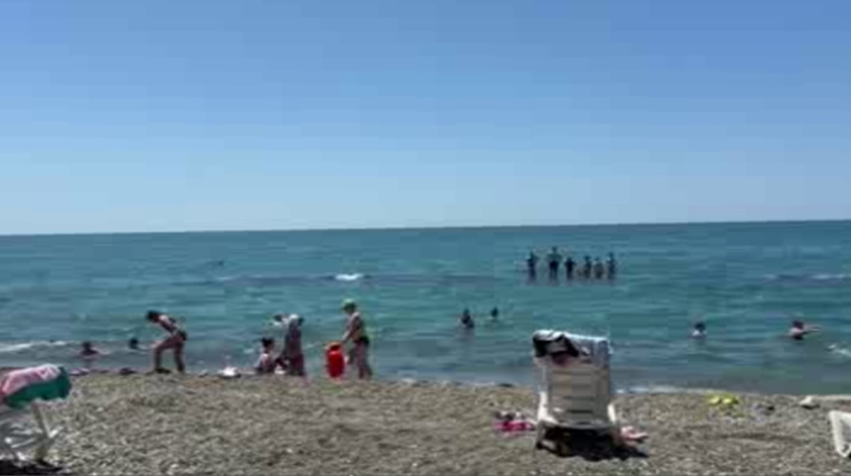    Летний отдых в Сухуми для курян из приграничья