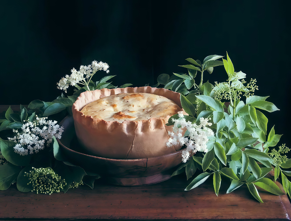Средневековый самбокад выглядел, вероятно, так. 