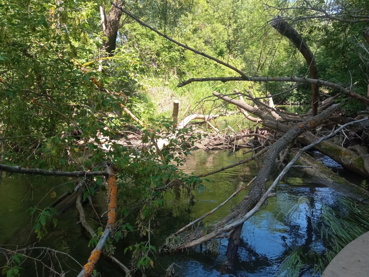 Автор фото: Дилия Мингазова / ИД «Вечерняя Казань»