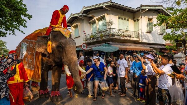    © Getty Images / Lauren DeCicca
