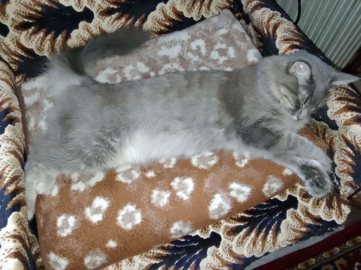 Руналежательница