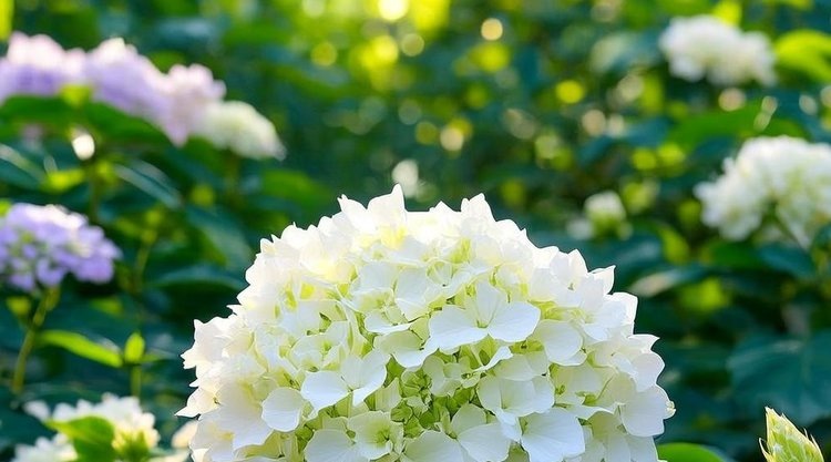    Фото: Медведева Анна, AgroXXI.ru