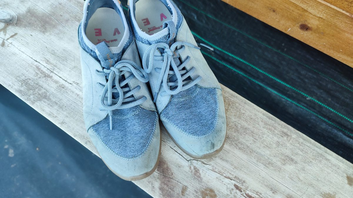 Мои любимки