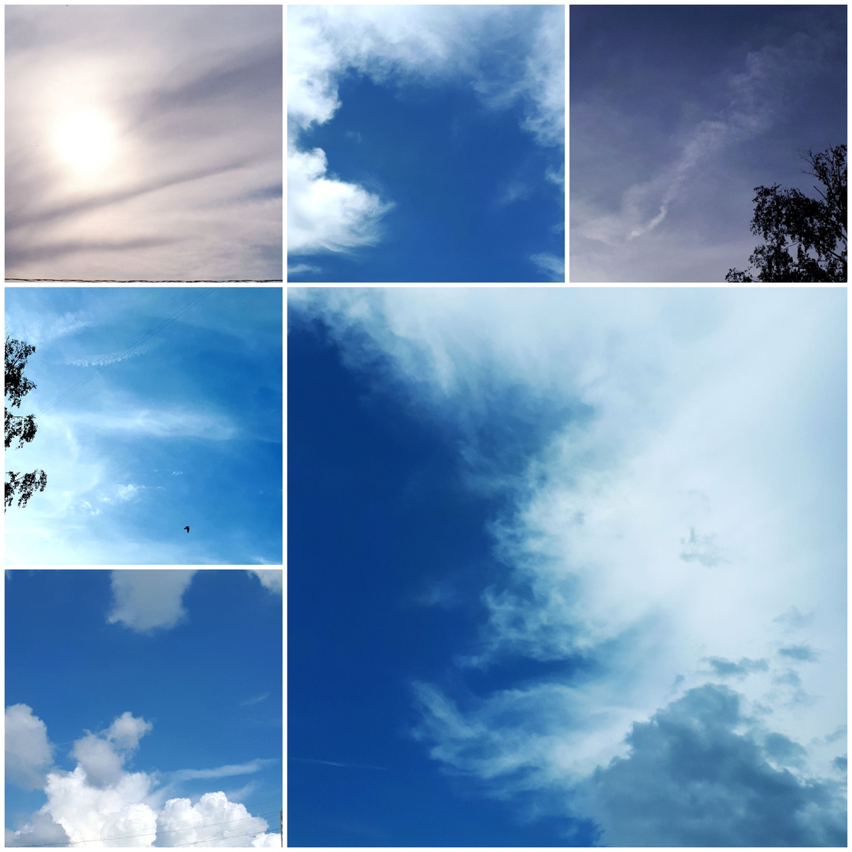 Коллаж автора 17.07.2025г.