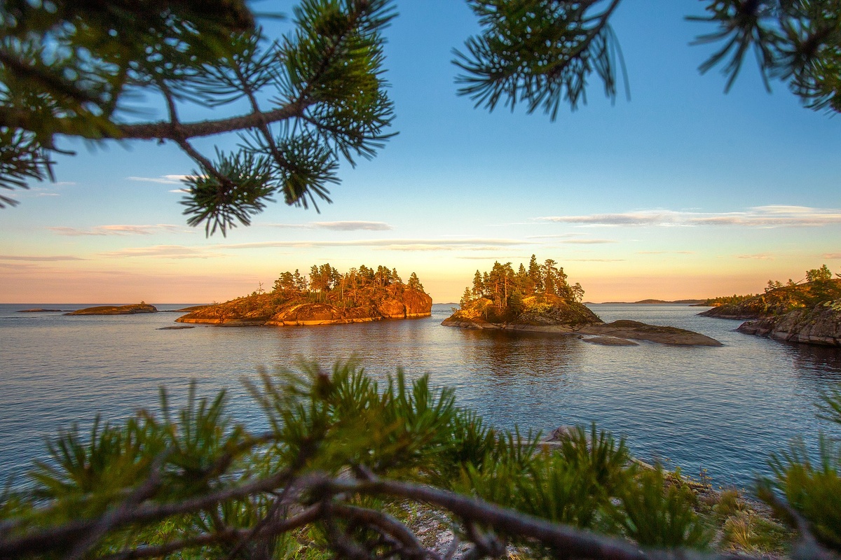 Источник: wikipedia.org Автор: Yuriy Stolypin CC BY 4.0