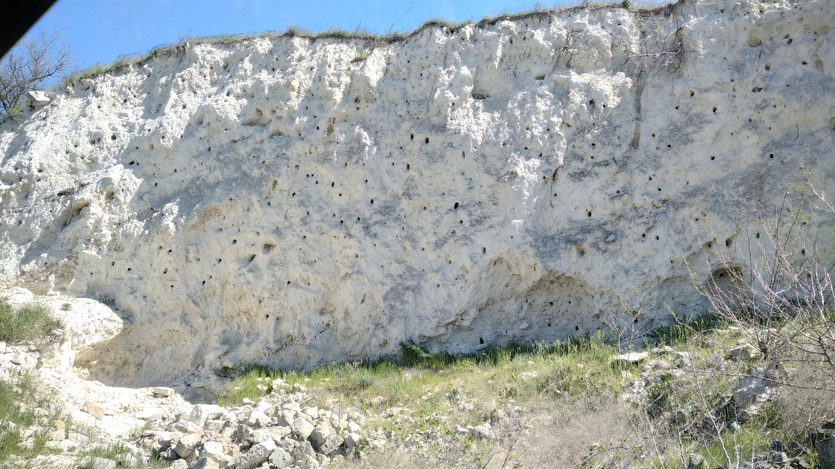 Ласточкины гнёзда 