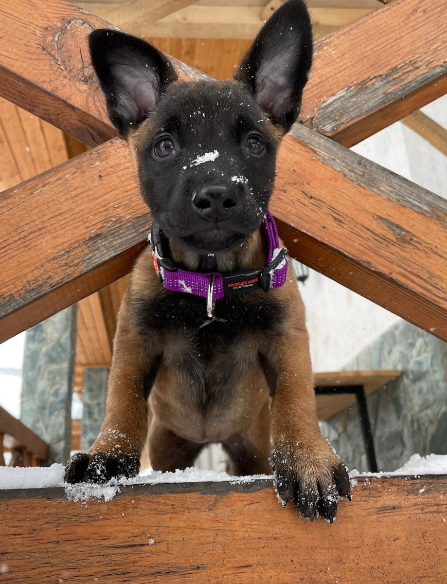 Взгляд, который не получилось забыть