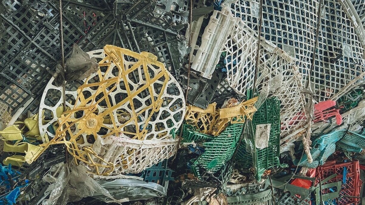     Источник: 1MI