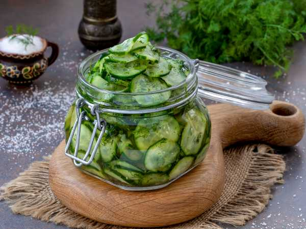Маринованные огурцы быстрого приготовления: хрустящая закуска за считанные часы