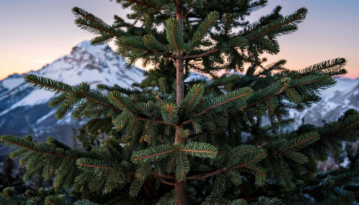    Фото сгенерировано Kandinsky 4.1