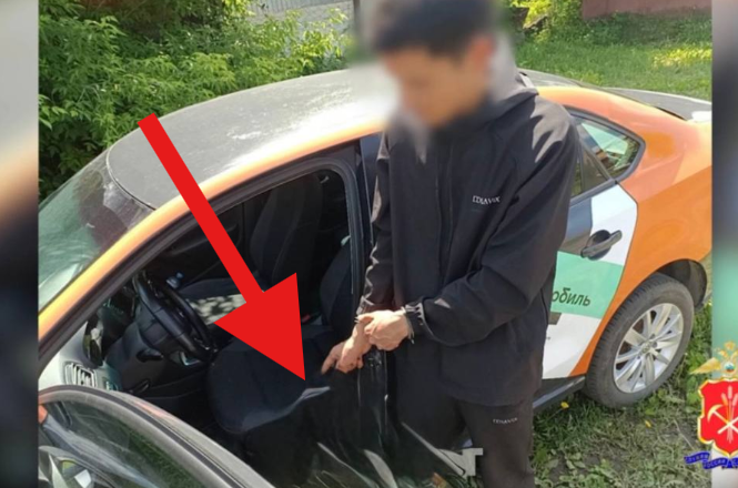 Ну ка сюда иди!