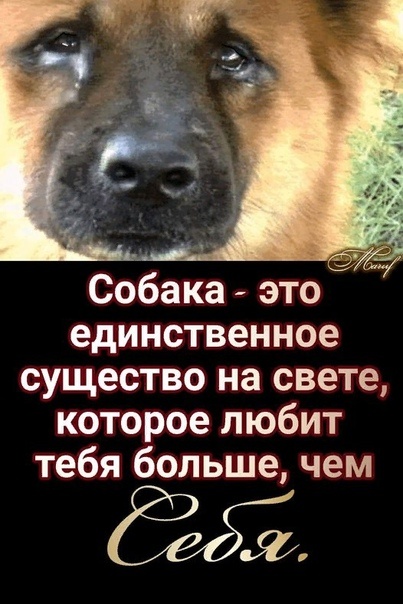 источник: соцсети