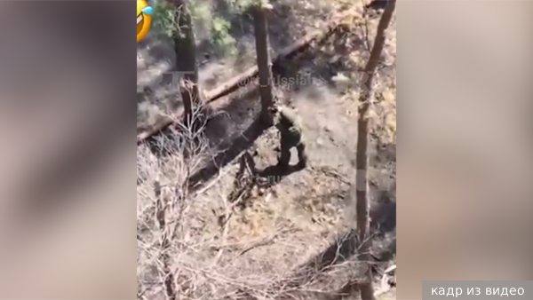     Фото: кадр из видео   
 Текст: Евгения Караваева