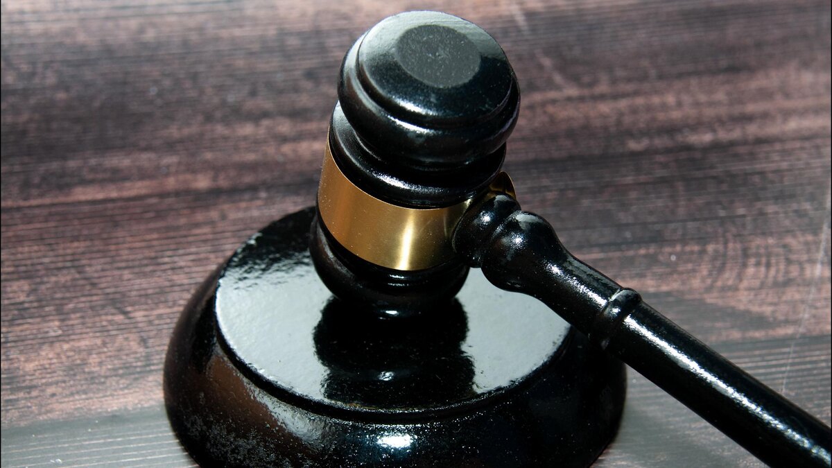    Фото: Svetlana Vozmilova/globallookpress.com