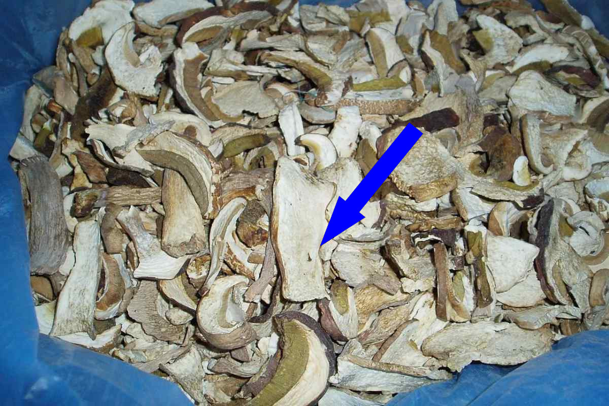    Секрет бабушкиных грибов на нитке раскрыт