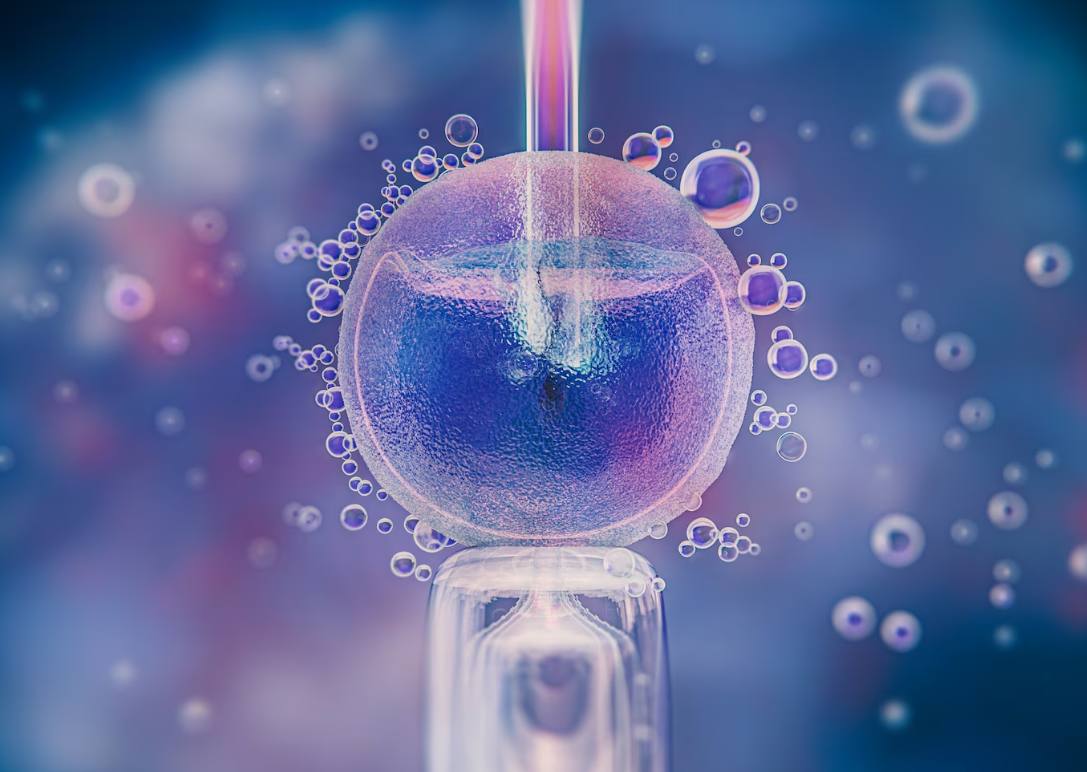 Xu, N., Du, Y., Su, Z. et al. Analysis of pregnancy outcomes in patients with unexplained recurrent miscarriage assisted by IVF/ICSI with or without PGT-A. J Assist Reprod Genet 42, 1679–1687 (2025). https://doi.org/10.1007/s10815-025-03438-0