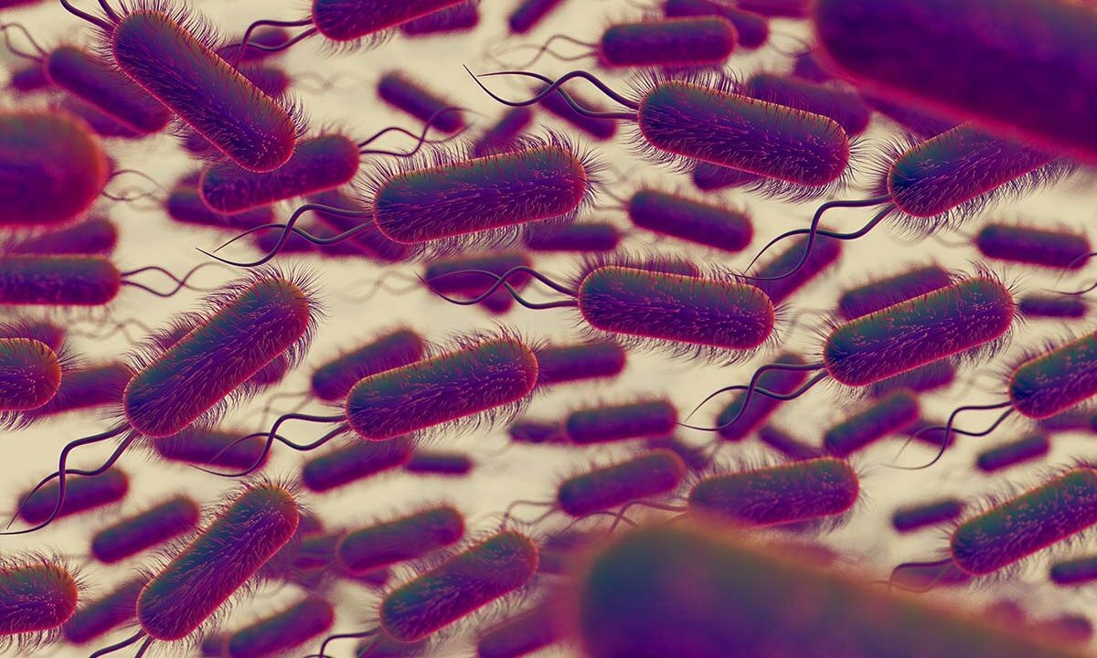    Фото freepik.com