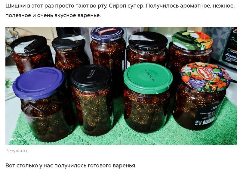 скрин фотографии из статьи Светланы автора канала "Лана Север о жизни и путешествиях"