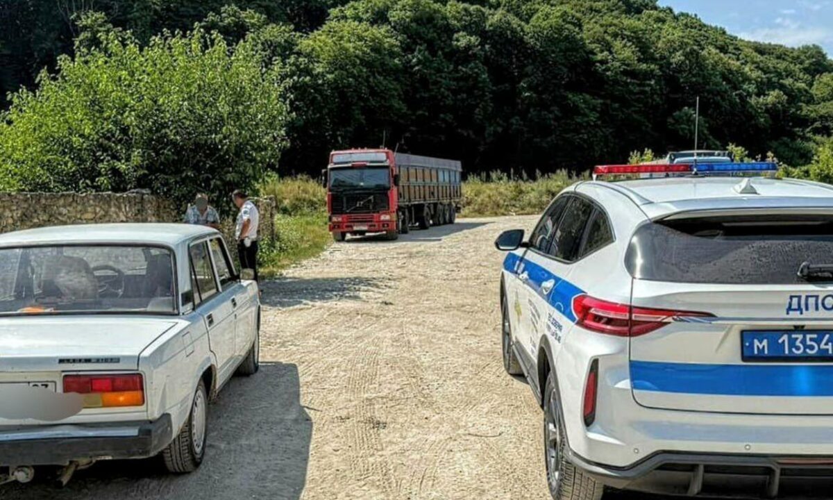    Фото t.me/gibdd123region