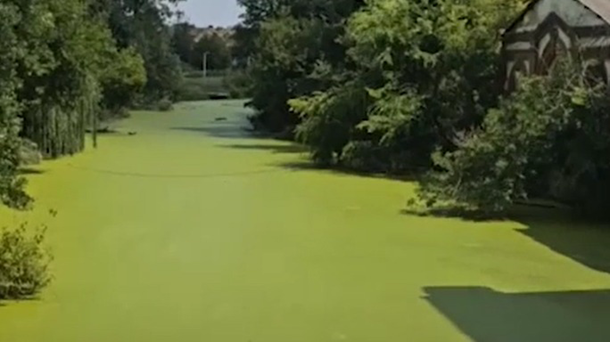    Фото: Скриншот видео / РБК / Telegram