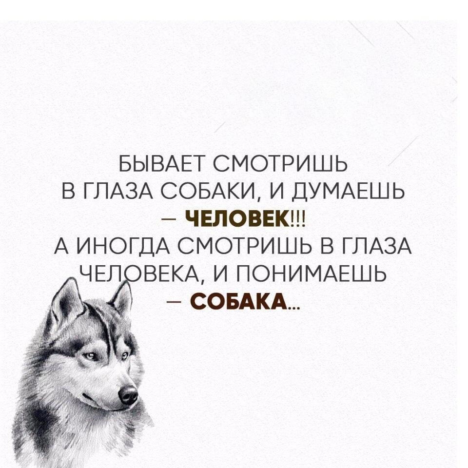 ____
Все мои программы и курсы⤵️:
https://site347220662.fo.team
💫⚜️💫⚜️💫⚜️💫⚜️💫⚜️💫
http://liliya.uzbekova.tilda.ws
💫⚜️💫⚜️💫⚜️💫⚜️💫⚜️💫
__
#СемьяСветлыхСил #космоэнергетика #шаманскиеканалы #шаманскиечастоты #шаманскиеэнергии #энергетическиеканалы #шаманский #shaman #шаманскйбубен #art  #арттерапия #селькар #силькар #silkar #selkar