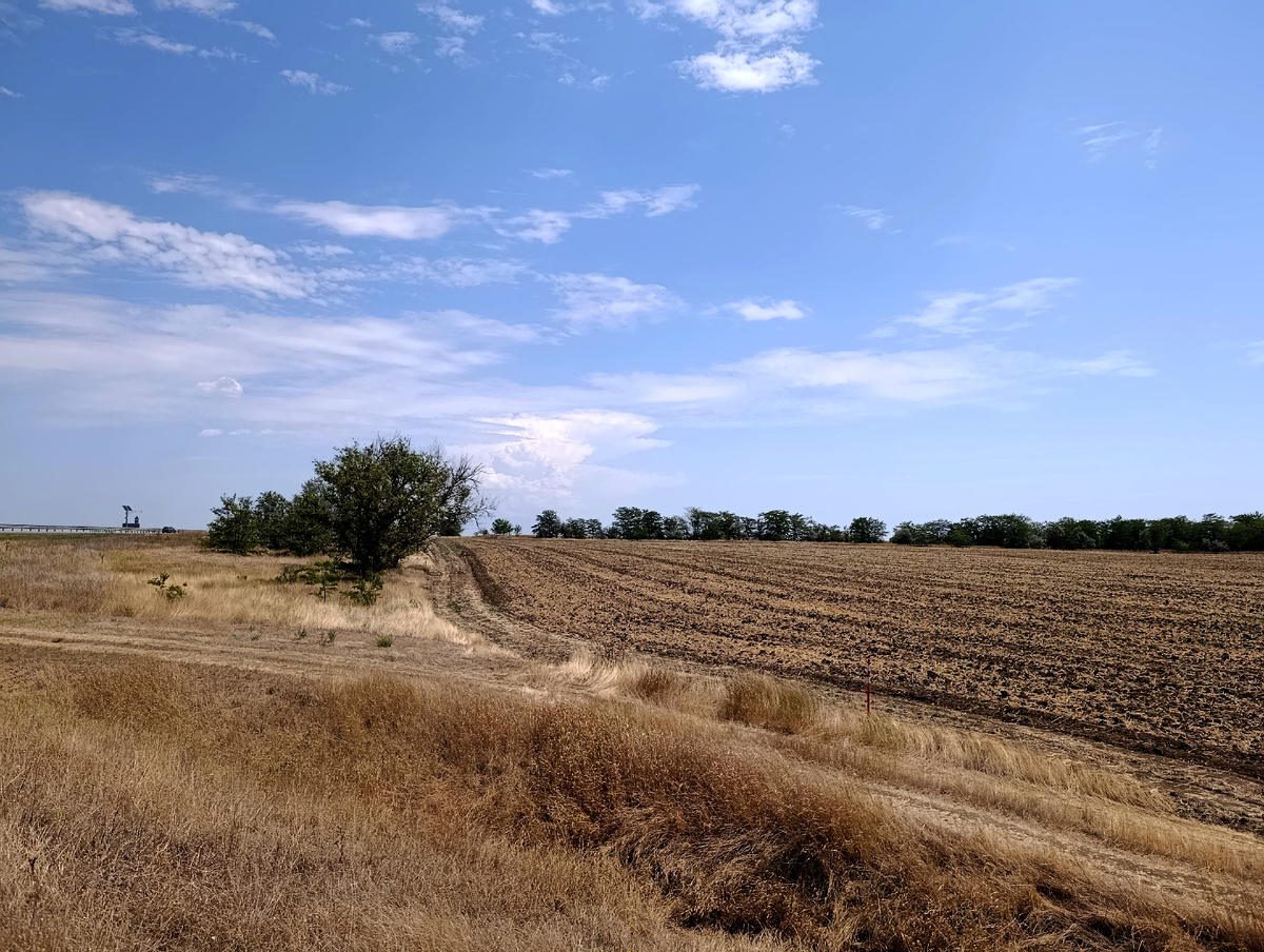 На обочине. Фото автора. 