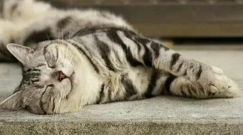 Фото взято из интернета