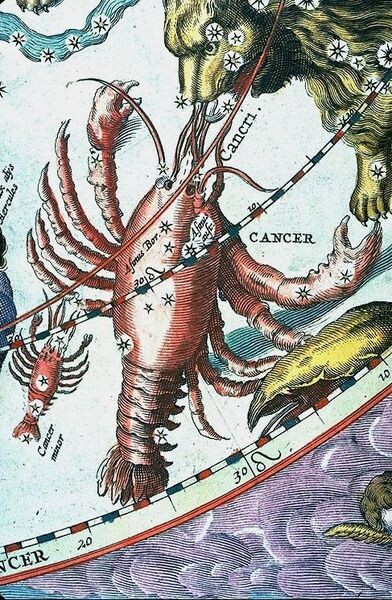 Фрагмент старинной гравюры "Звёздное небо"